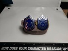 Vintage Set of US AIR FORCE CMSgt Chevrons E-9  — photo 4