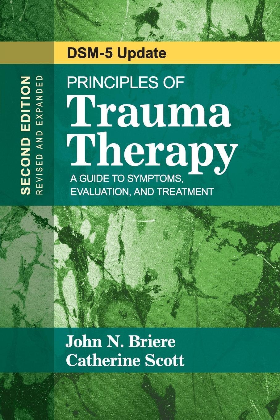 Thumbnail - John N Briere (u. A.) | Principles Of Trauma Therapy | Taschenbuch |