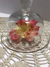 Vintage Etched Glass Round Domed Butter Dish Cheese Knobbed Cover Floral Etching