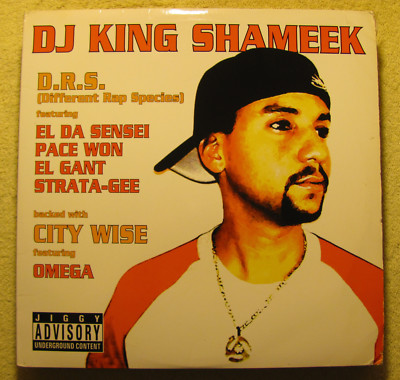 (12'' Vinyl) DJ King Shameek - ''D.R.S.'' / ''City Wise'' - Hip Hop (2002)