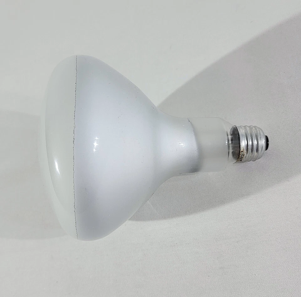 (4 Bombillas) NOS Sylvania GTE 150W W-R40 Blanco Interior Reflector Luz Lámparas de Inundación Foto 4 de 4