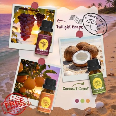 SALUBRITO Fragrance Oils Set Tropical Breeze Island Coconut Coast