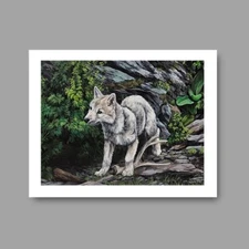 Wolf Print "Adventurer" Fine Art Animal Print by Cassydraws Wildlife Artist