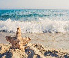 starfish Ocean Wave Beach Sand Computer Mouse Pad 9 X 7
