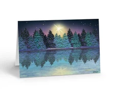 Christmas Cards Boxed with Envelopes, Happy Holidays Cards,Bulk Christmas Cards