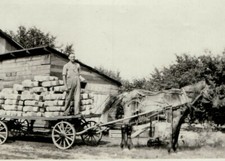 1920s Horse Drawn Wagon With Farmer and Cargo 3" x 5"