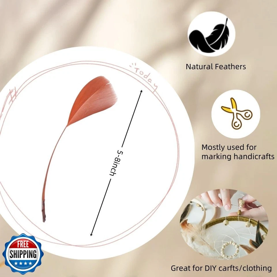 Shekyeon Goose Feather Plume Stripped Coque Feather for Clothing Hat Craft De - Image 4 of 4