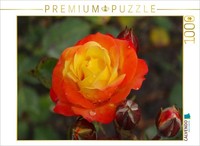 Calvendo Puzzle Orange Gelbe Rose | 1000 Teile Lege-GrößE 64 × 48 Cm Foto-Puzzle