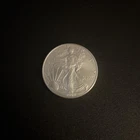 2004 Walking Liberty American Eagle 1 oz Fine .999 Silver Dollar