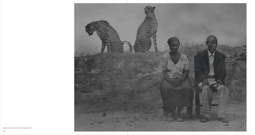 Nick Brandt | The Day May Break | Nadine Barth | Englisch | Buch | 168 S. | 2021 - Bild 6 von 14