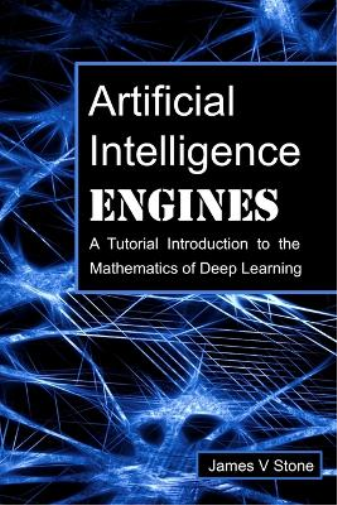 James V Stone Artificial Intelligence Engines (Tascabile)