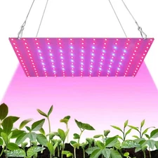 1000W Grow Light Full Spectrum LED Plant Growing Lamp For Indoor Veg Bloom