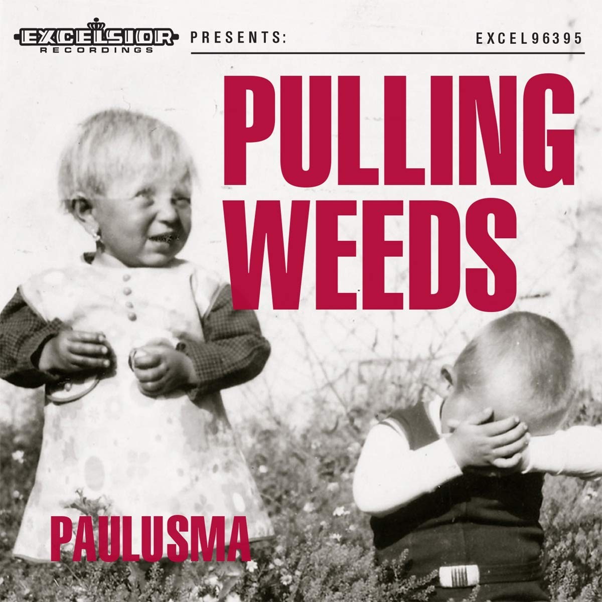 Выдергивающие сорняки Paulusma (CD) (ИМПОРТ ИЗ Великобритании)