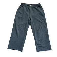 Eileen Fisher Women's Sweatpants S Teal Organic Cotton French Terry Loungewear