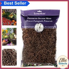 Preserved Spanish Moss 8 oz 200 cu in Coffee Brown Floral Arranging Crafting