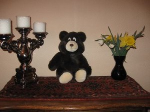 Vintage-Holland-FAMOUS-TV-Pastachoca-Teddy-Bear