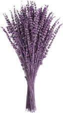 Dried Lavender Flowers Bundles, 16" Dried Purple Preserved Lavender,50g 1.76oz