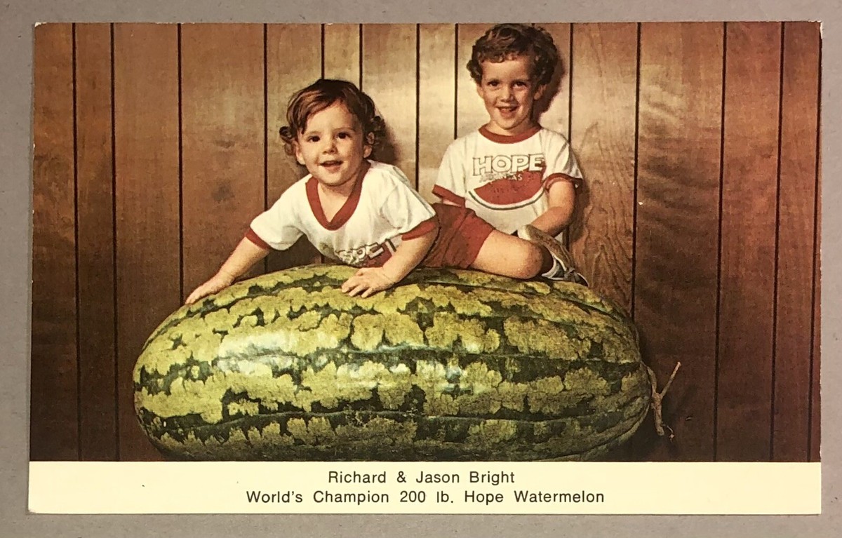 Postcard Hope Arkansas World Champion Watermelon 200 lbs Richard