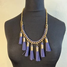 Charming Charlie's Tassel Chain necklace