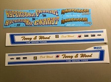 A Pair Of Race Decals 1:24