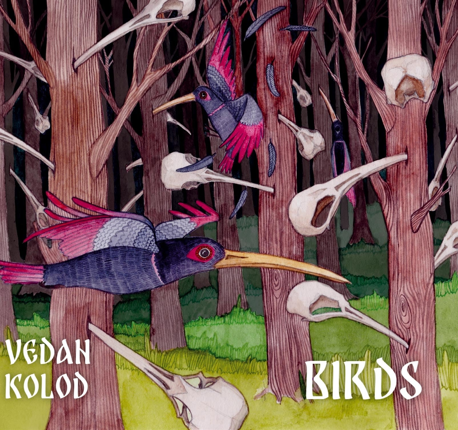 Vedan Kolod Birds (CD)