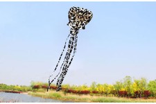 3D 5.5 meters Stunt huge octopus POWER Sport Kite outdoor toy Black and White