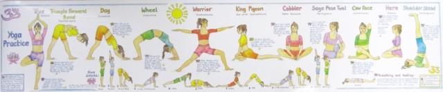 Yoga Practice Wall Chart by Liz Cook (Wallchart)