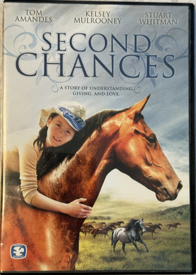 Second Chances DVD Movie ~ Dove Family Approved ~ Tom Amandes Kelsey Mulrooney