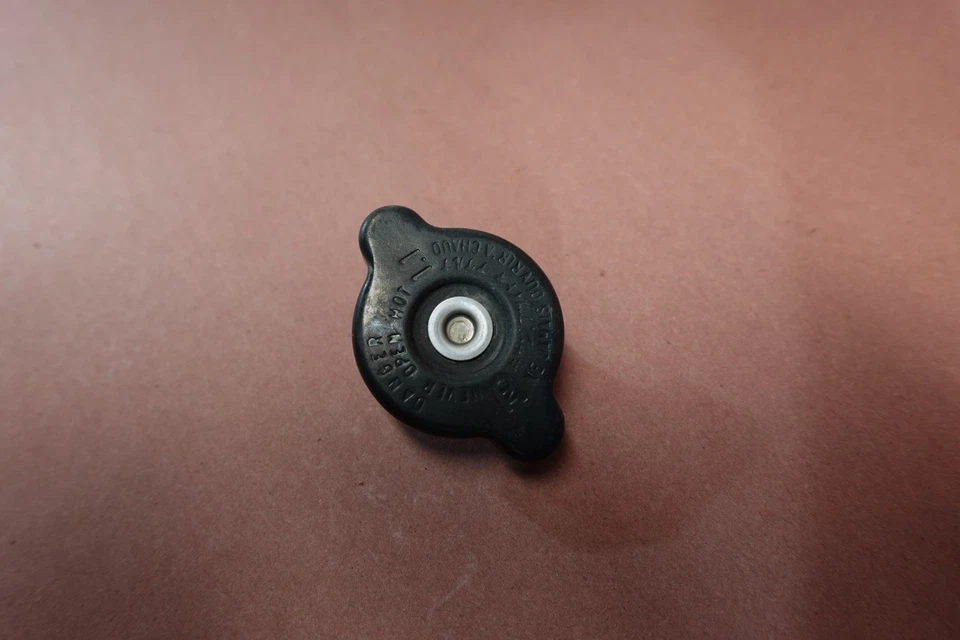 Tapa radiador Yamaha FZ1 FZ1000 FZ1-S 2006-2015 Foto 2 de 4