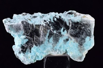 4.2cms GEM CHRYSOCOLLA INSIDE SELENITE CRYSTAL LILY MINE PERU  TB183