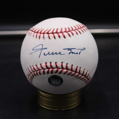 Willie Mays Signed Rawlings OML Baseball Autograph PSA/DNA Say Hey D14280