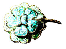 Vintage 2  1/2" Pale Blue Mesh Flower Brooch