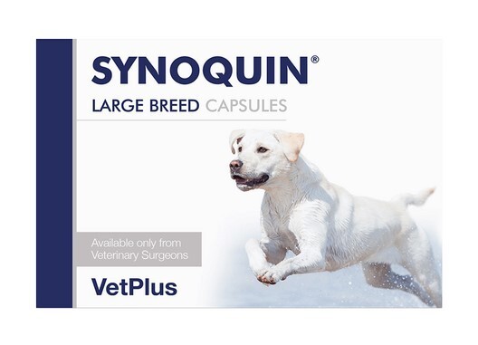 SYNOQUIN® Large Breed Joint Support Supplement for Dogs x 120 Capsules