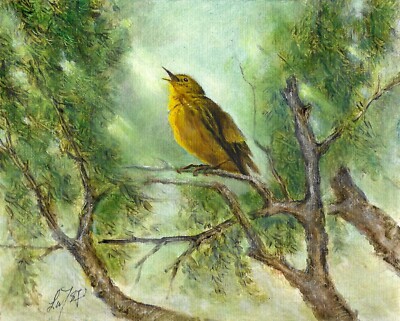   ORIGINAL Oil Portrait Painting YELLOW WARBLER Bird on Tree Artist Signed Art
