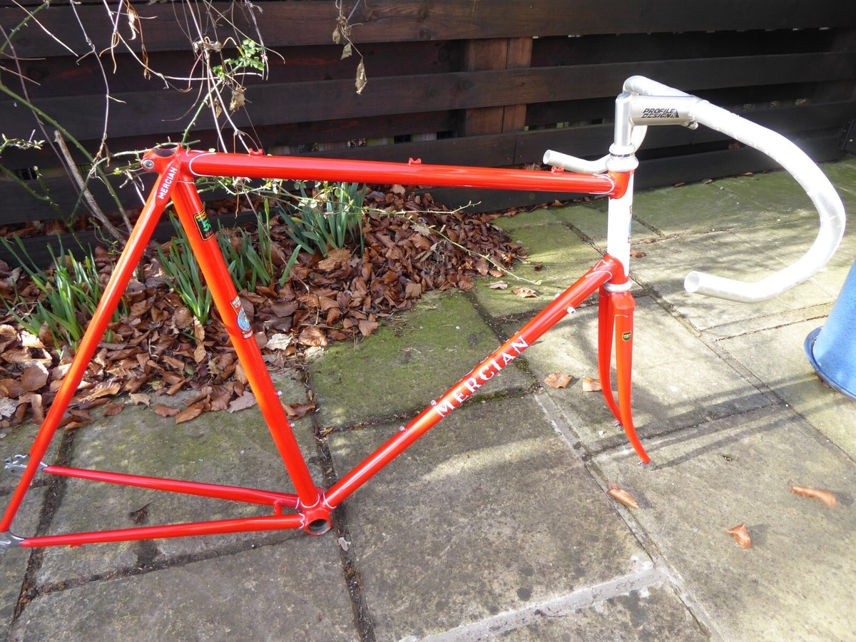 Mercian KING OF MERCIA Frame and forks 24