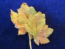 Vintage Millinery Flower Leaf 12pc Bunch Yellow Orange Green Fall 2 1/4-4" B82