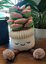 GREENHOUSE BY RUSS PLUSH POTTED PLANT SUCCULENT
