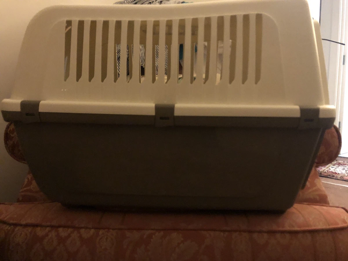 Small pet carrier argos sales