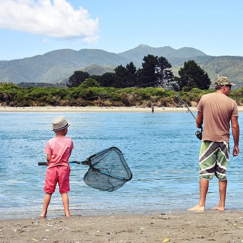 Foldable Pole Fishing Net Landing Mesh Fish Catch Folding Handle Lightweight New - Picture 13 of 14