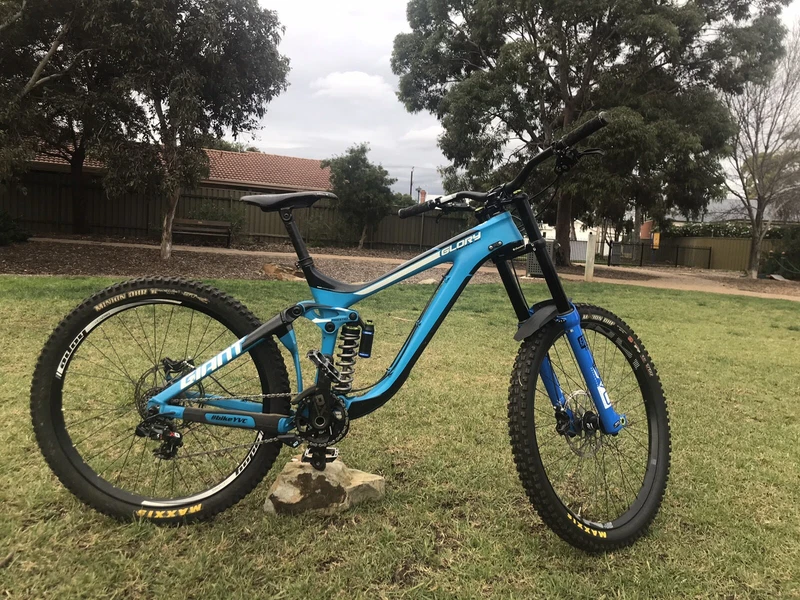 2017 giant glory