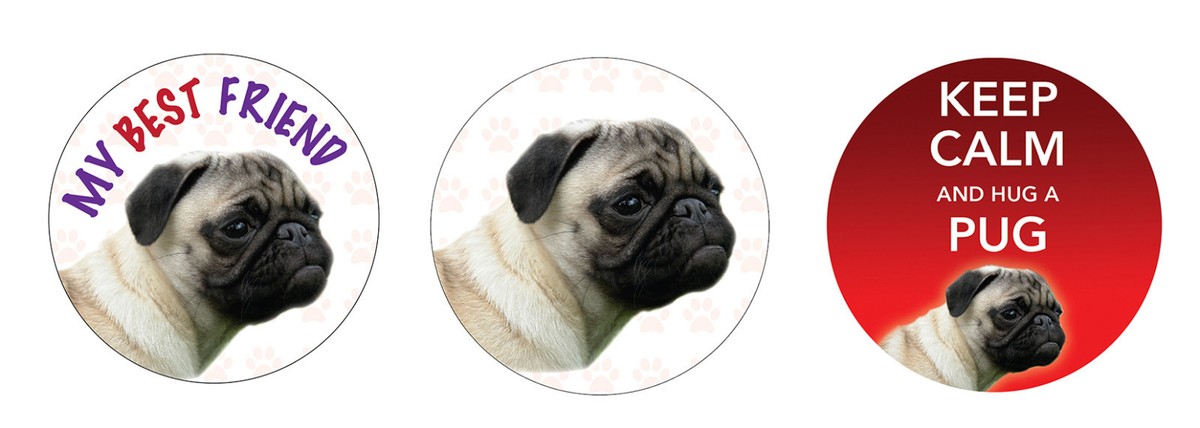 Dog Names For Chinese Pug Names Get 400 Best Black Dog Names With