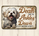 Funny Maltipoo Sign death from the ankles down dog metal art tin handmade gift