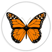 Monarch Butterfly - Circle Sticker Decal 3 Inch - Beautiful Insect Orange