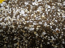 Succulent Organic Sphagnum Peat Moss/Perlite/Vermiculite - 5 Cups-OVER 1/4 Gal.