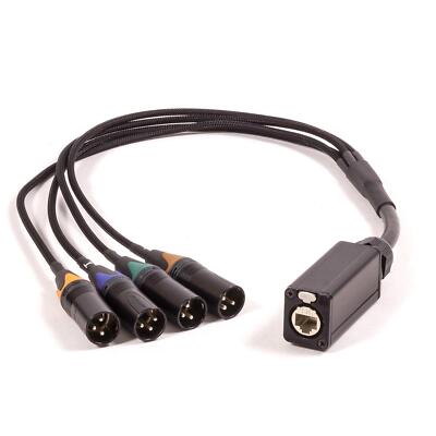 Audio Oder DMX Über Katze Adapter. Buchse Cat5e Zu 4 Stecker XLR Plattenmontage