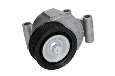 Für VOLVO C30, S40 II, V50; FORD C-MAX Mehrfach gerippter Riemenspanner
