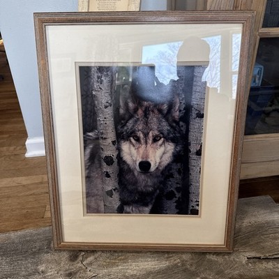 Original COLDWATER CREEK Gray Wolf Framed Photo Wolf Print Sandpoint Idaho