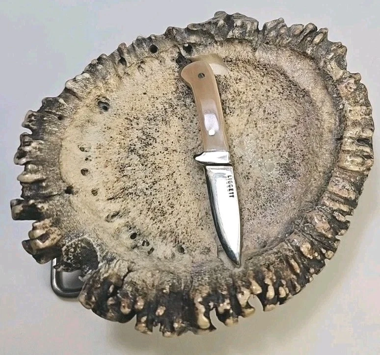 Cuchillo de colección Liggett Mini Cazador Hecho a mano Cuerno de alce Hebilla de cinturón   Foto 4 de 4