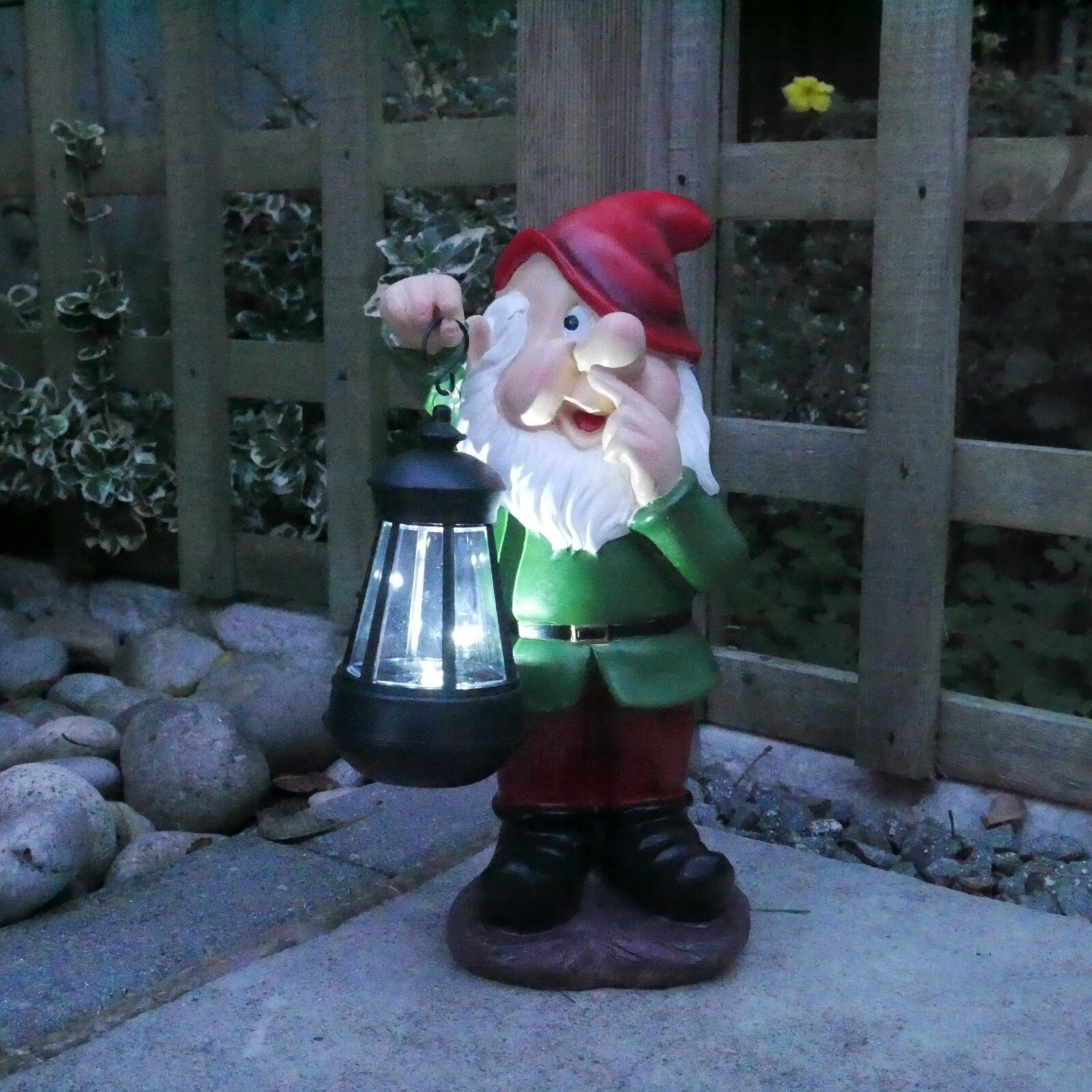 Picture 5 of 61
