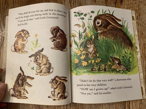 Vintage 1975 Little Cottontail Little Golden Book Carl Memling Lillian Obligado - Picture 7 of 12